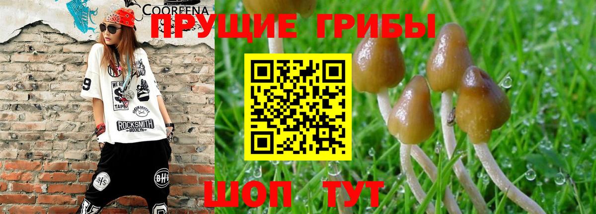 Галлюциногенные грибы мухоморы  Псилоцибиновые грибы Psilocybine cubensis  Электросталь  Вход с VPN 