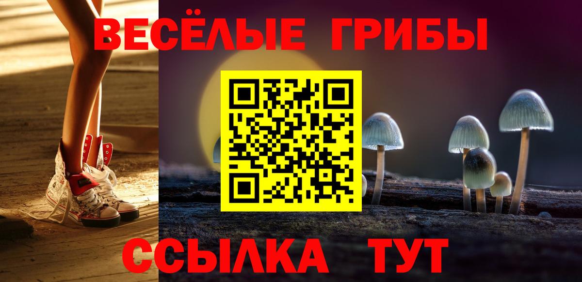 Псилоцибиновые грибы Psilocybine cubensis Электросталь